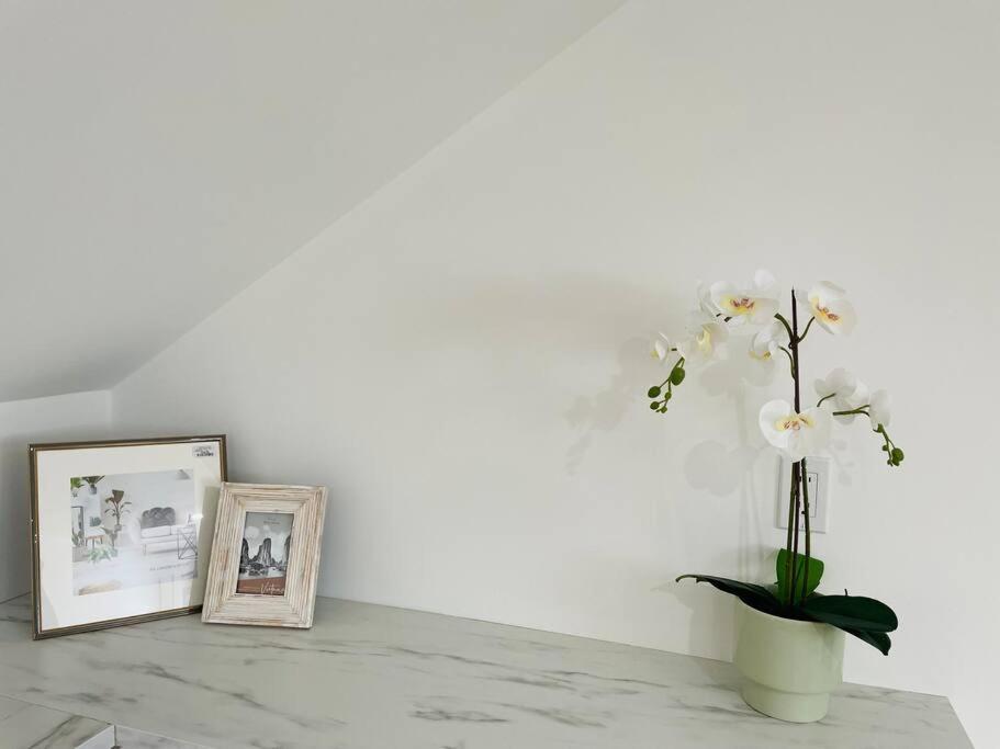 Stylish Cozy One Bedroom Studio With Free Parking Виктория Екстериор снимка